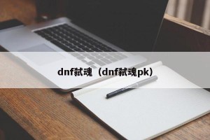 dnf弑魂（dnf弑魂pk）